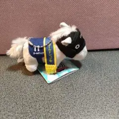 ゴールドシップ　グッズ10点セット　ＪＲＡ　競馬 ゴールドシップ グッズ10点セット JRA 競馬 V118474120