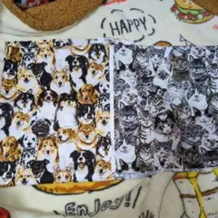 犬　ネコ柄　綿プリント生地