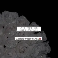 ヒスミニ ハーフ