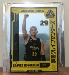 群馬クレインサンダーズ #29 細川一輝