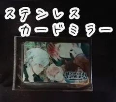 ディアラヴァ ステンレス カードミラー(３人)