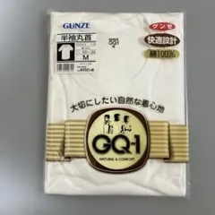 GUNZE 半袖丸首メンズインナー Mサイズ 1枚