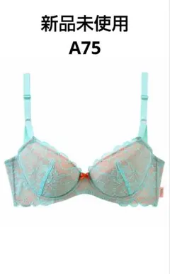 Item thumbnail for item f00b8139-ddbf-4286-b2e6-c22e837e95de