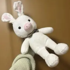 美男ですね　ぶたうさぎ