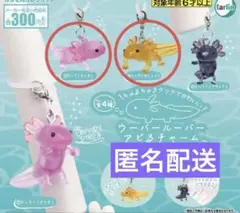 ウーパールーパー アピるチャーム 2点セット