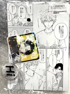 愛の温度を教えてよ Hiカロリー 有償特典 アクリルスタンド - メルカリ