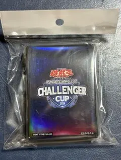 グランツーリスモ ヒントカードコレクション トレーディングカード 1