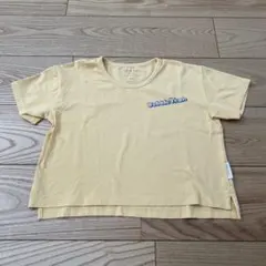 Item thumbnail for item b7fc2b78-0580-450b-8a79-166b6f547f02