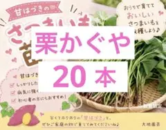2026年最新】栗かぐや 苗の人気アイテム - メルカリ