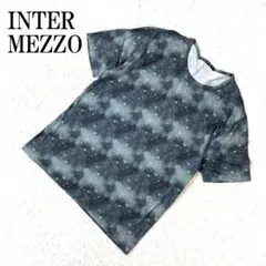 Item thumbnail for item 0cecd50e-cfee-40b3-9575-630048e8f35a