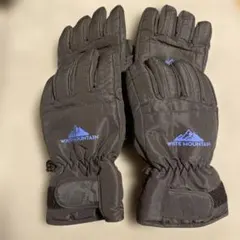 ウィンタースポーツ用グローブ