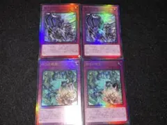 ゾルガ・ネイダール ライドライン - メルカリ
