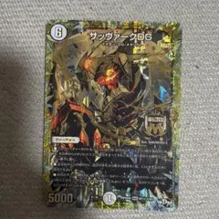 サッヴァークDG