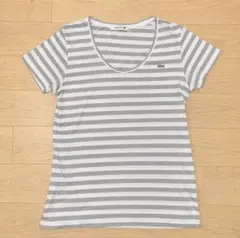 LACOSTE ラコステ ボーダー 半袖 Tシャツ グレージュ ホワイト 36