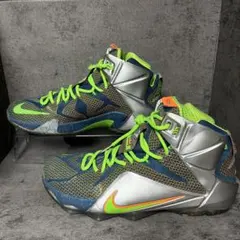 希少 NIKE レブロン12 トリリオンダラーマン 29cm バッシュ 美品