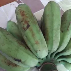 バナナ沖縄産無農薬バナナ3kgのサムネイル