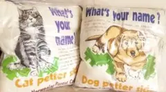 Item thumbnail for item f0788655-cf02-4474-a1be-93f89cc3f829