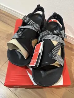 Nike オニオンタサンダル
