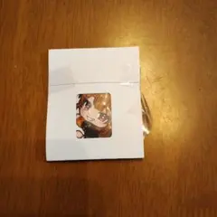 【匿名発送】カラフルピーチ　ぴたハグ　えとさん