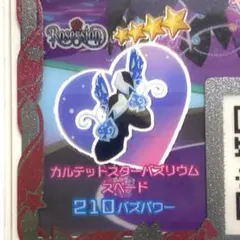 カルテットスターバズリウムスペード、シューズ⭐︎4【同梱130円】