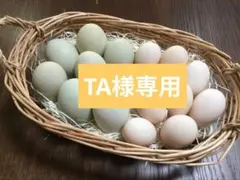 TA様専用　青いたまごアローカナ　　　　　烏骨鶏平飼いたまご セットのサムネイル