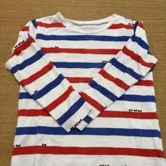 INSECT COLLECTION 長袖120