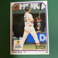 Item thumbnail for item 31f3c35c-871a-42e4-8294-c69946c2ed59