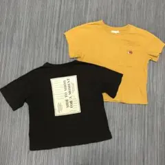 フルーツオブザルームTシャツ　ペアマノンTシャツ　半袖