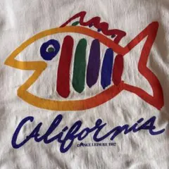 Item thumbnail for item 85f3540b-143f-42c7-b19f-4b8884b3a3c8