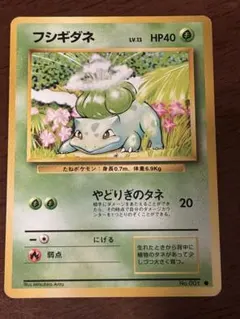 【旧裏】ポケモンカード フシギダネ（第1弾 拡張パック）