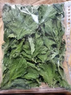 Item thumbnail for item e353d036-965e-4d94-9051-6728c07b6d04