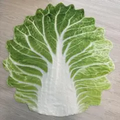 ニューボーンフォト、白菜の葉型ブランケット