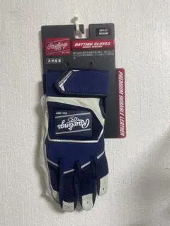 Item thumbnail for item b7ff9b8b-570e-47ab-bbcc-8fe28b13cfc3