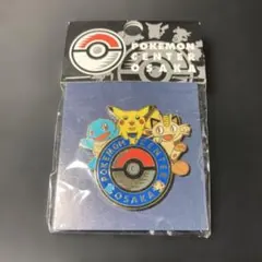 限定】ポケセンピンズ 3種10点セット トウキョーDX トウキョーベイ