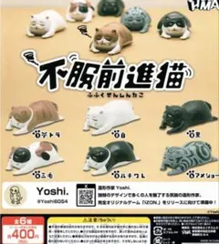 不服前進猫