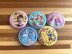 ディズニー　刺繍缶バッジ　第二弾　プリンセス　5個セット