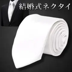 ネクタイ 無地 白 結婚式 お祝い コスプレ おしゃれ ダンス 衣装 メンズ14
