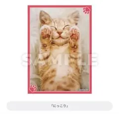 猫これくしょん 一番くじ ダブルチャンスキャンペーン プレイマット