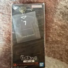 ハイキュー‼︎ 一番くじ〜全国への道〜　スクールアイコンボタン付きアクリルチャーム