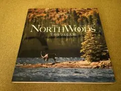 ノースウッズ 大竹英洋