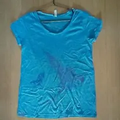 Item thumbnail for item c0e3d66f-3d08-44f7-8cd4-b492c5508001