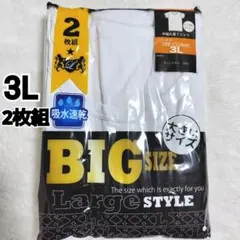 半袖丸首Tシャツ3L2枚組大きいサイズアンダーウェア下着吸水速乾ハニカムメッシュのサムネイル