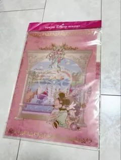 東京ディズニーシー ミニー クリアファイルセットのサムネイル