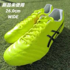 asics DS LIGHT ADVANCE WIDE 26.0cm