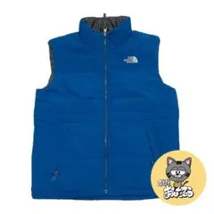 ザノースフェイス 古着 ダウンベスト グレーブルー 推定XXS
