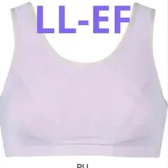 Item thumbnail for item a1c1a45c-037c-4b62-8a72-28b0c6c200d0