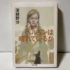 ベルリンは晴れているか　T11