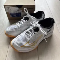 【MIZUNO】バレーボールシューズ　スニーカー　23.0のサムネイル