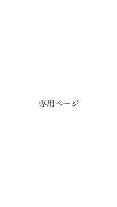 専用ページ