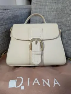 DIANA ハンドバッグ
